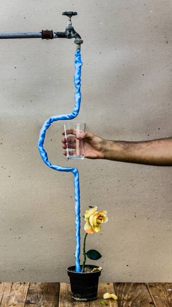 Photograph Amin Roshan Afshar Dont Like Humans on One Eyeland